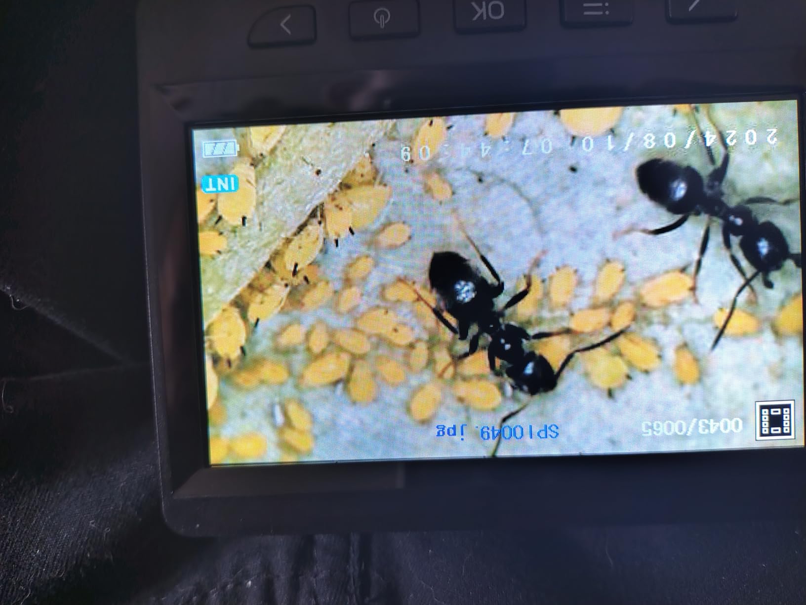 Fotos gespeichert