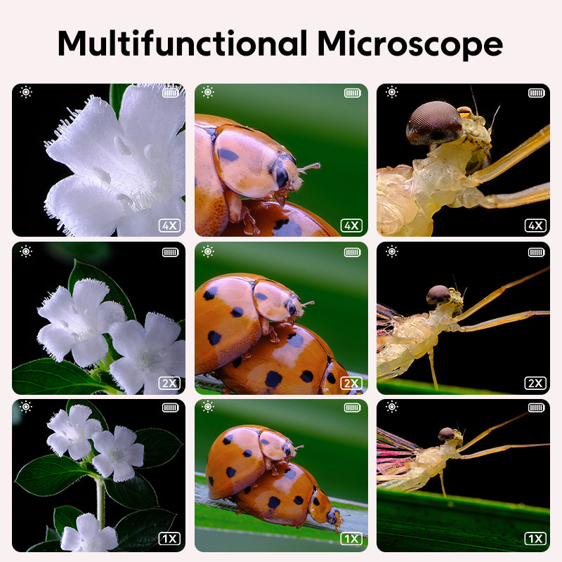 ashfly-kids-microscope-handmikroskop-lila-200x-1080p image 8